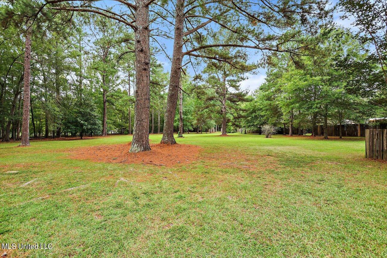 3907 Kimbell Road Terry, MS 39170 - Photo 28 of 39 53-3907 Kimbell Rd