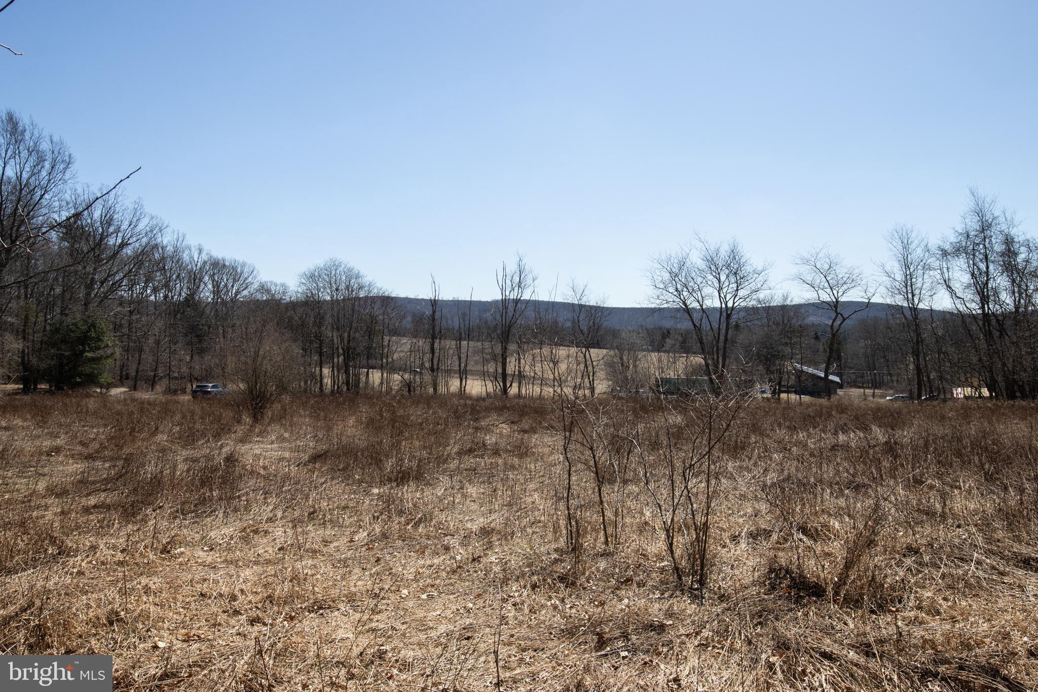0 Back Road Barnesville, PA 18214 - Photo 13 of 16 a view of a backyard