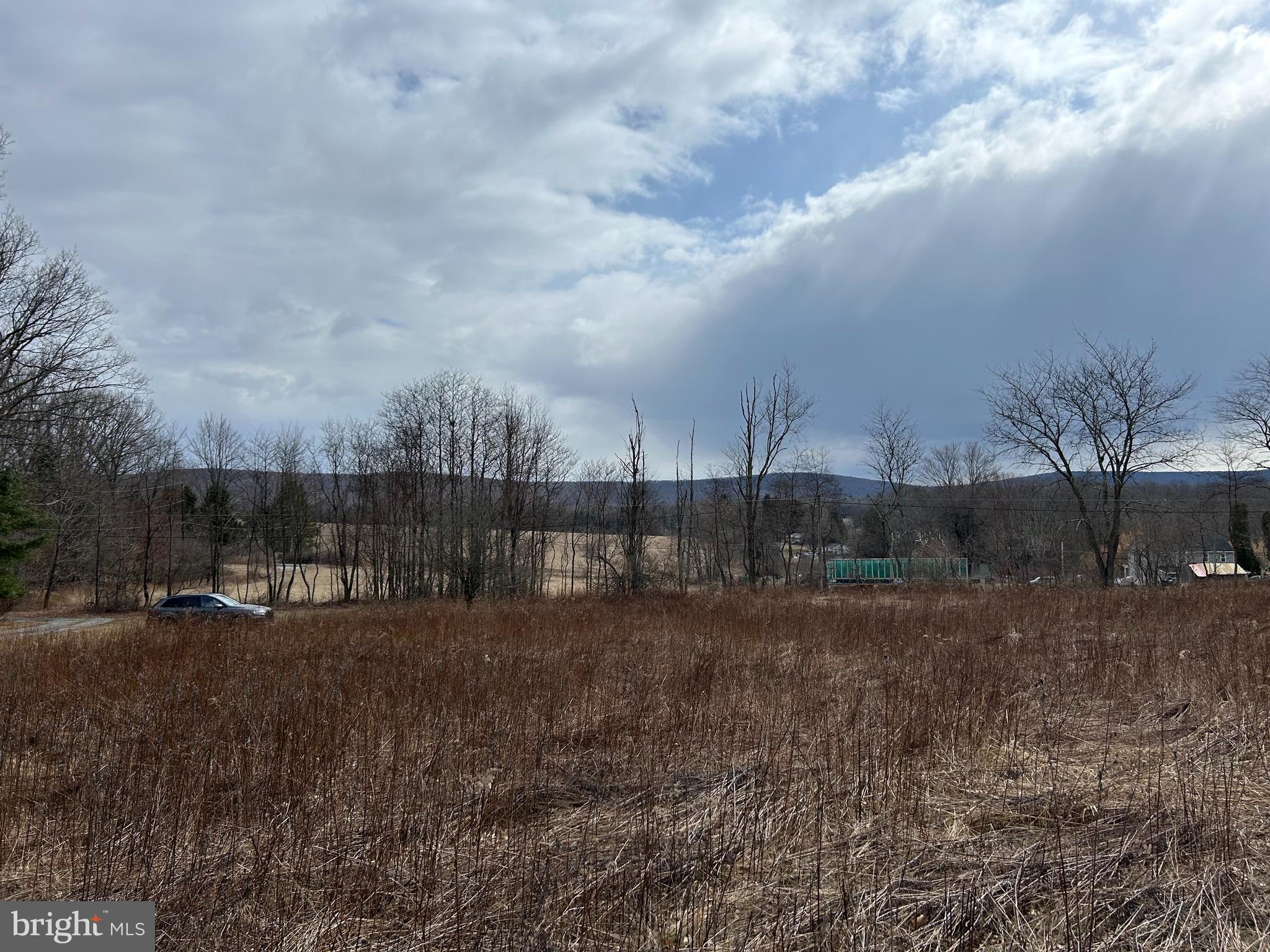 0 Back Road Barnesville, PA 18214 - Photo 14 of 16 a view of a yard with large trees and barn in the background