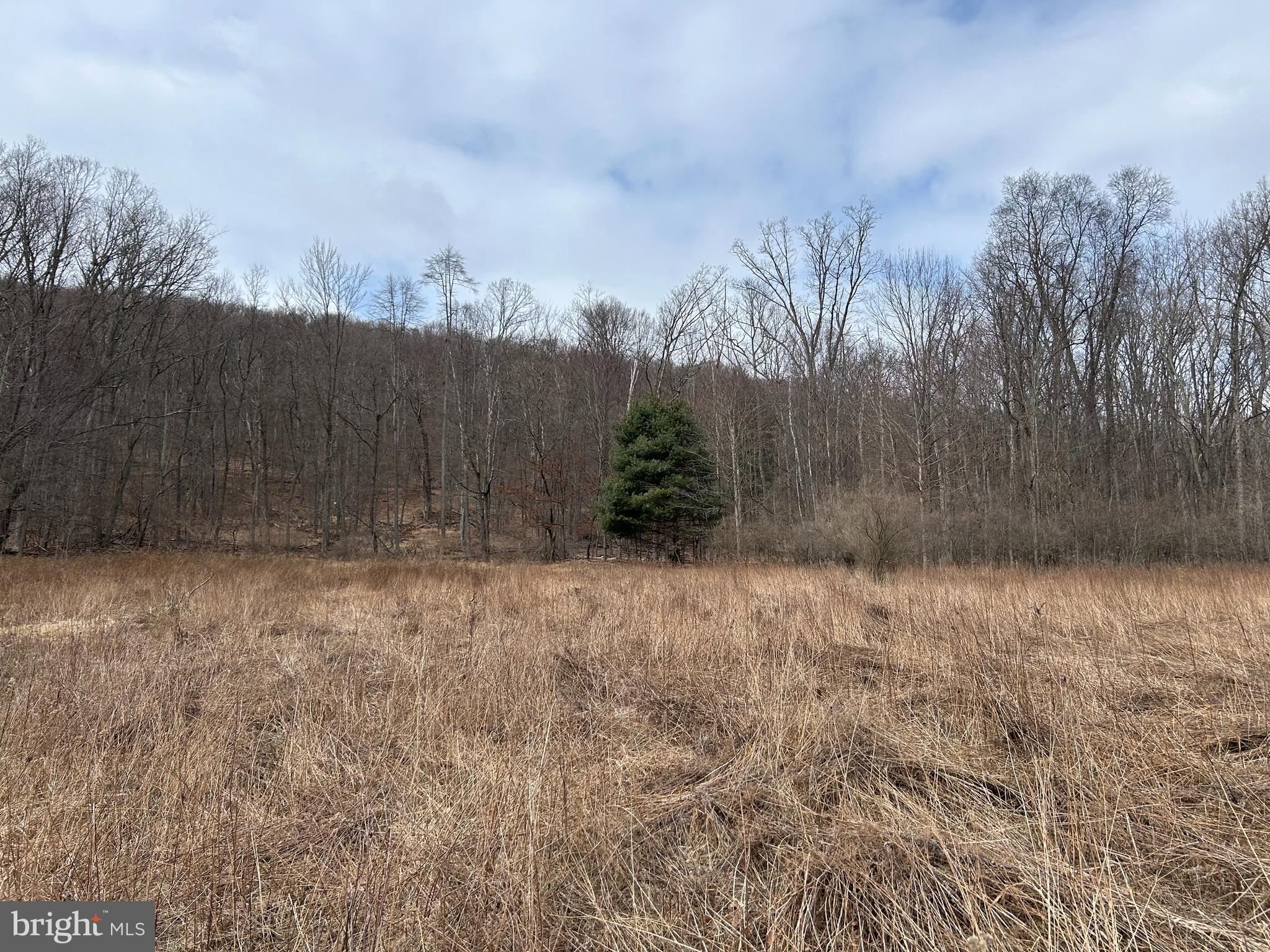 0 Back Road Barnesville, PA 18214 - Photo 15 of 16 a view of a backyard of the house