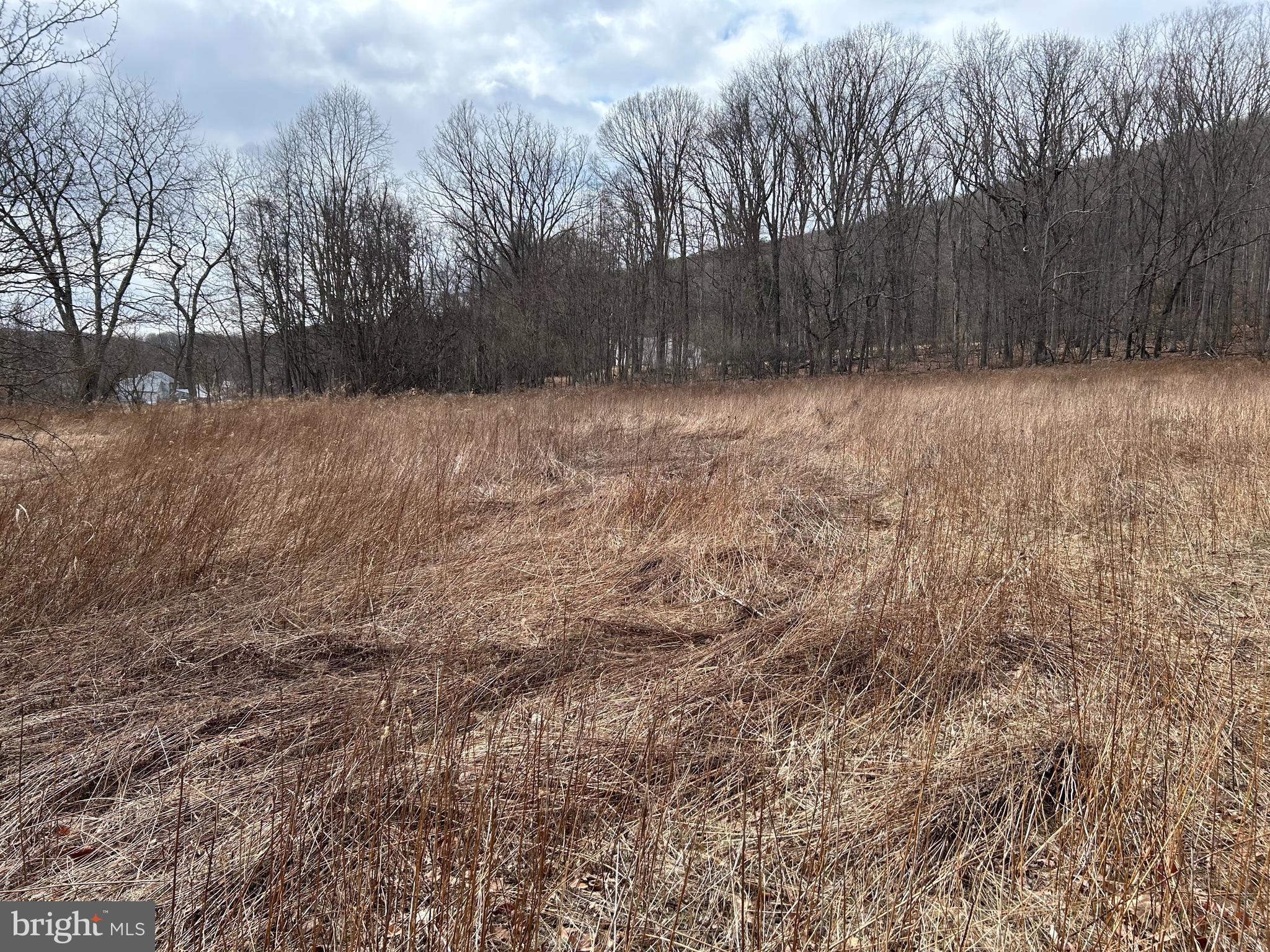 0 Back Road Barnesville, PA 18214 - Photo 16 of 16 a view of backyard with green space