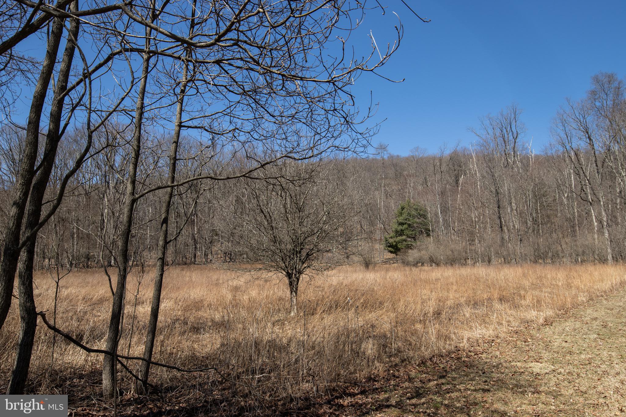 0 Back Road Barnesville, PA 18214 - Photo 3 of 16 a view of a backyard of the house