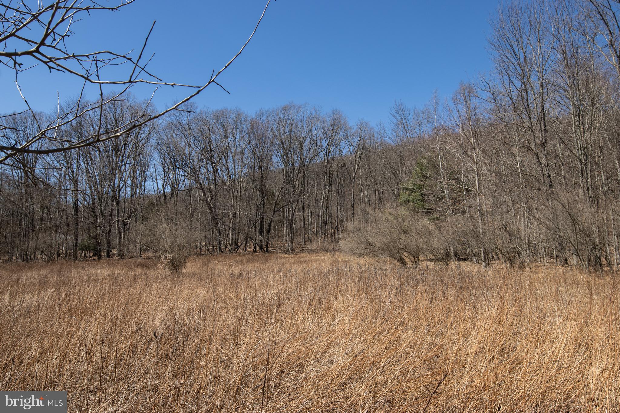 0 Back Road Barnesville, PA 18214 - Photo 6 of 16 a view of a dry yard