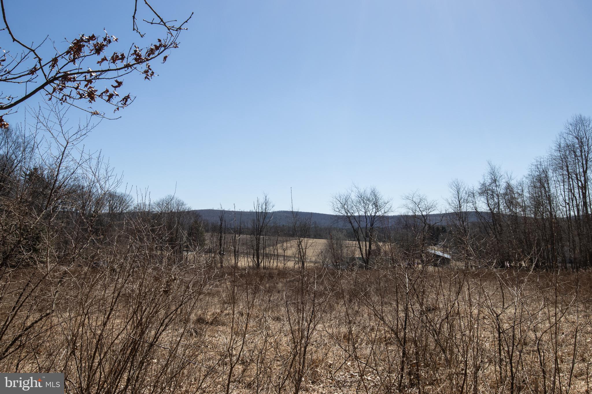 0 Back Road Barnesville, PA 18214 - Photo 7 of 16 a view of a backyard of a house with a yard and outdoor seating