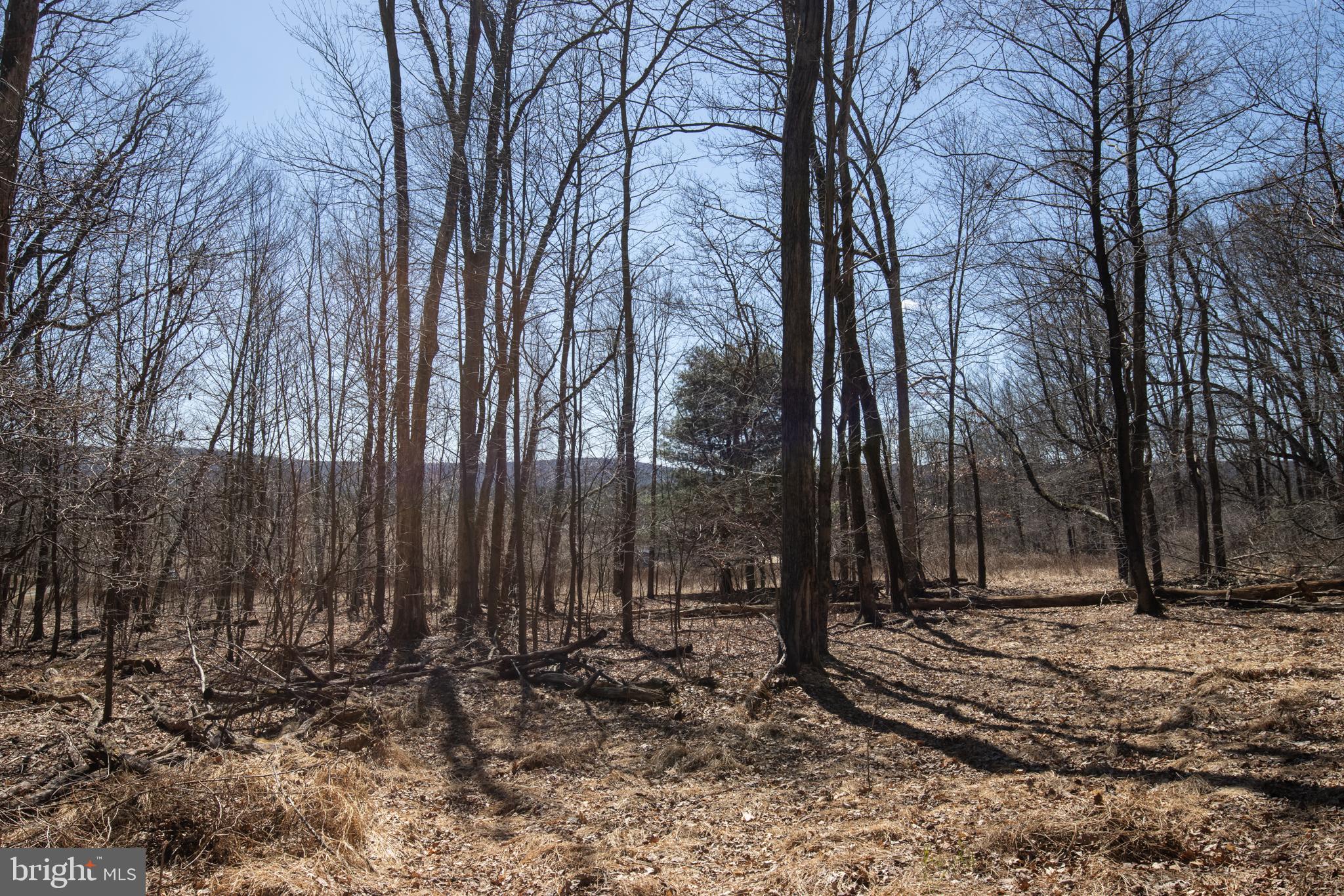 0 Back Road Barnesville, PA 18214 - Photo 10 of 16 a view of backyard with green space