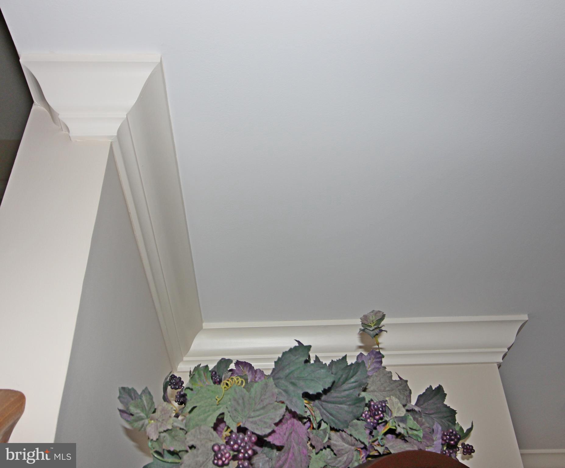 9 Round House Drive Lititz, PA 17543 - Photo 55 of 56