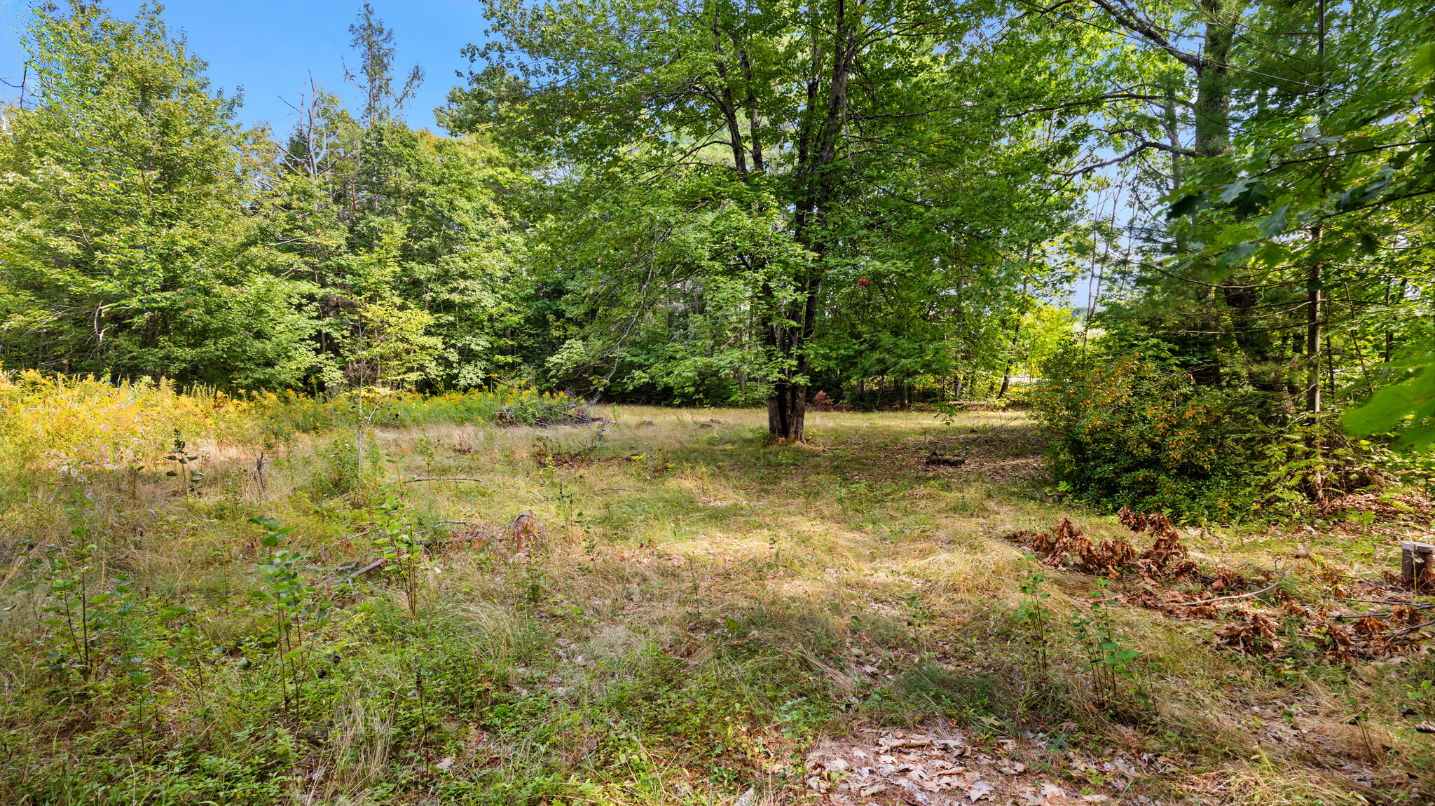 1053 Oliver Hill Road Dover Foxcroft, ME 04426 - Photo 20 of 37 _MG_0448