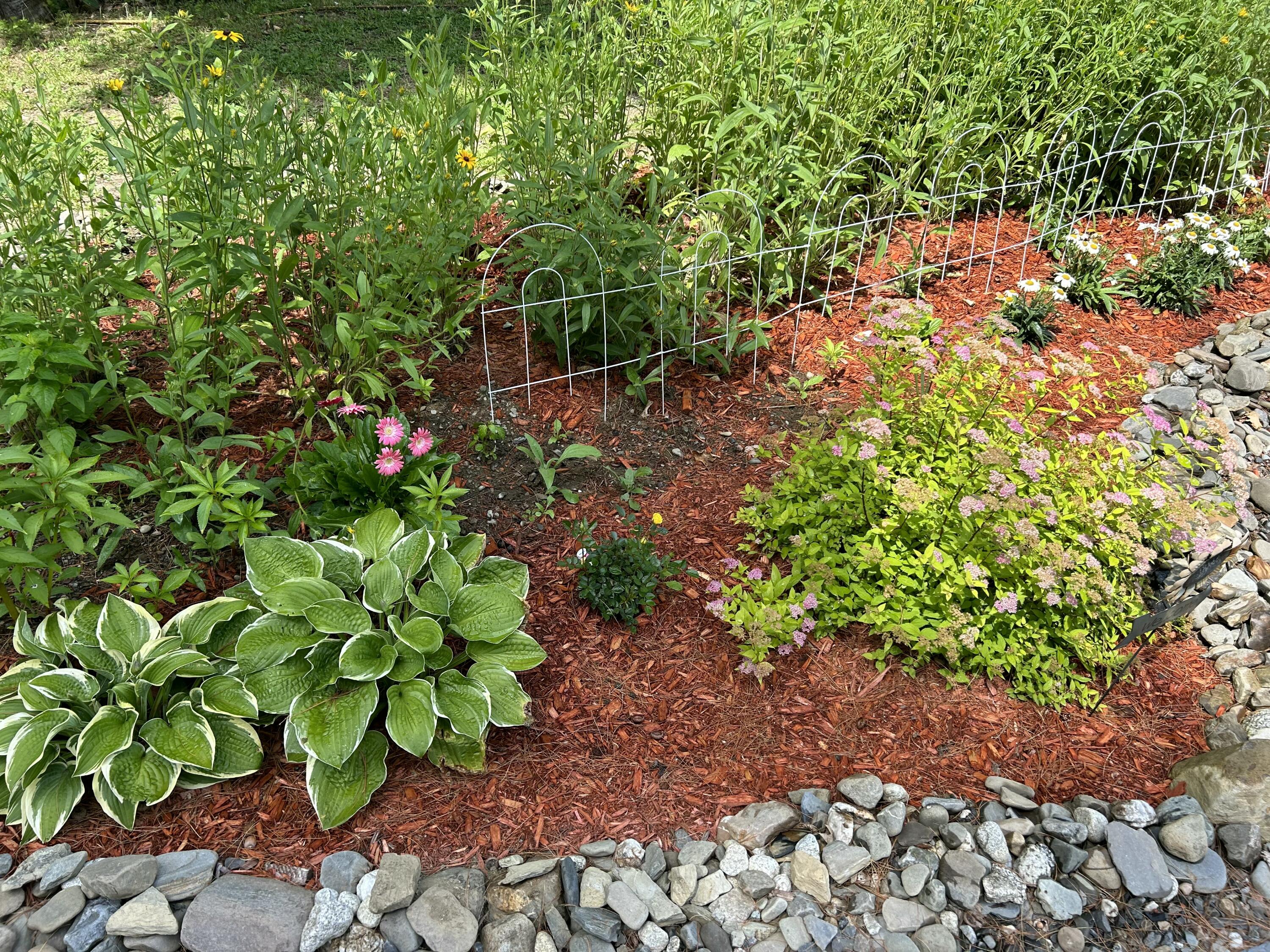 1053 Oliver Hill Road Dover Foxcroft, ME 04426 - Photo 31 of 37 Copy of IMG_3563