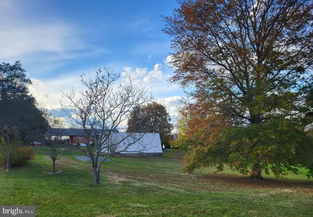 a view of a backyard with large trees