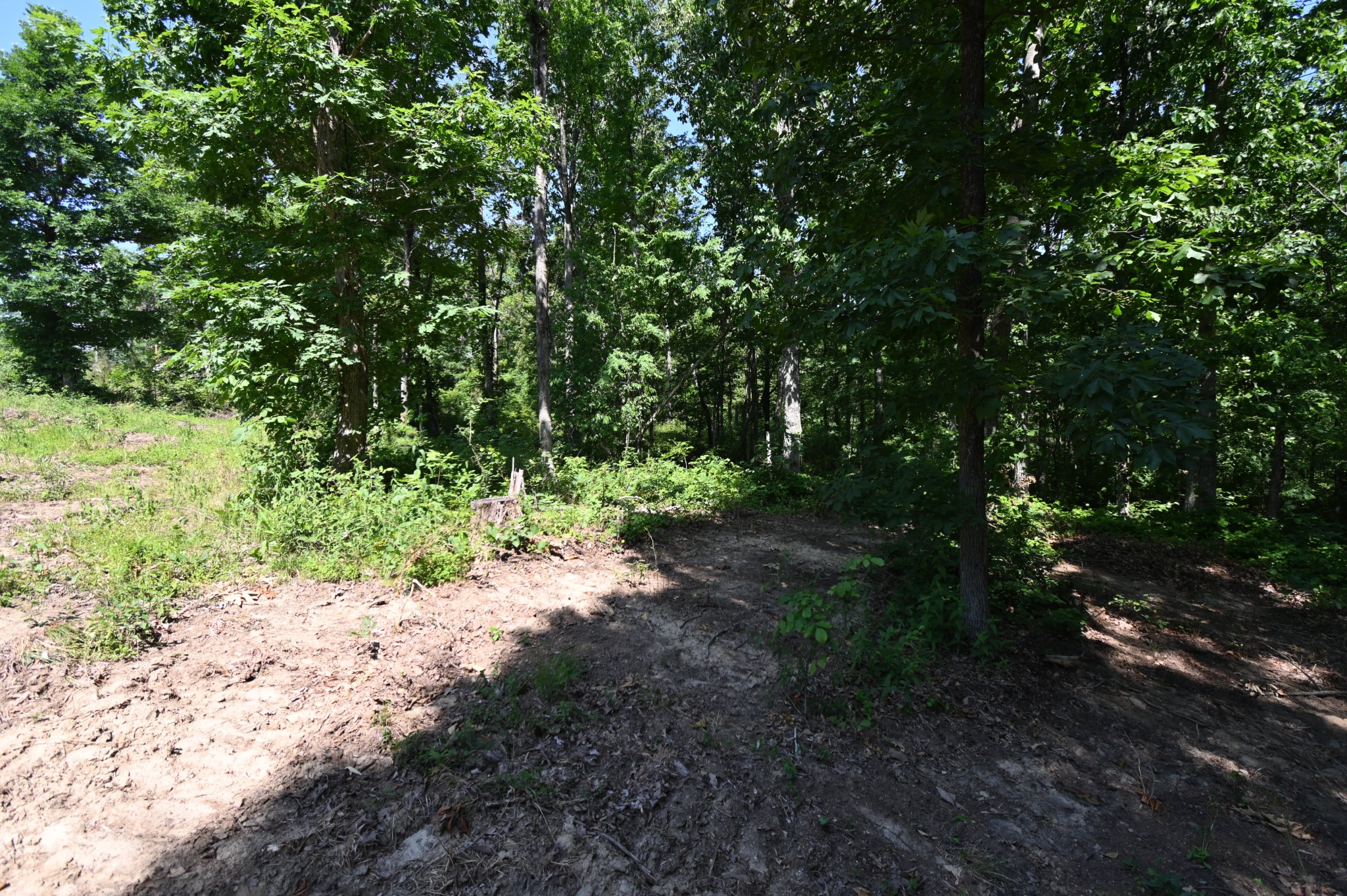 0 Bear Creek Road Waverly, TN 37185 - Photo 29 of 35 a pathway of a yard
