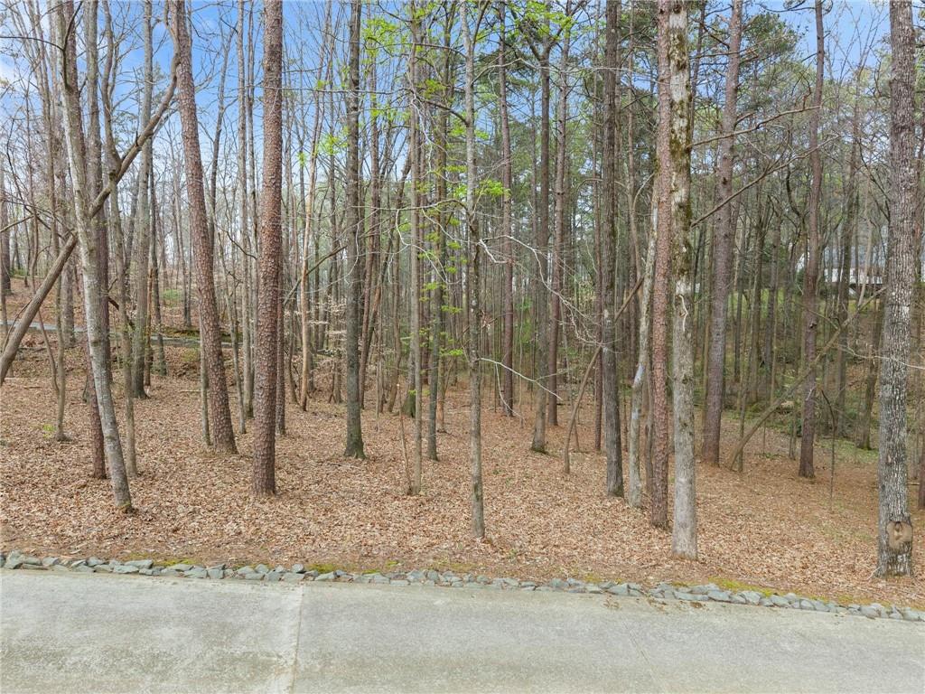 2195 East Maddox Road Buford, GA 30519 - Photo 75 of 100