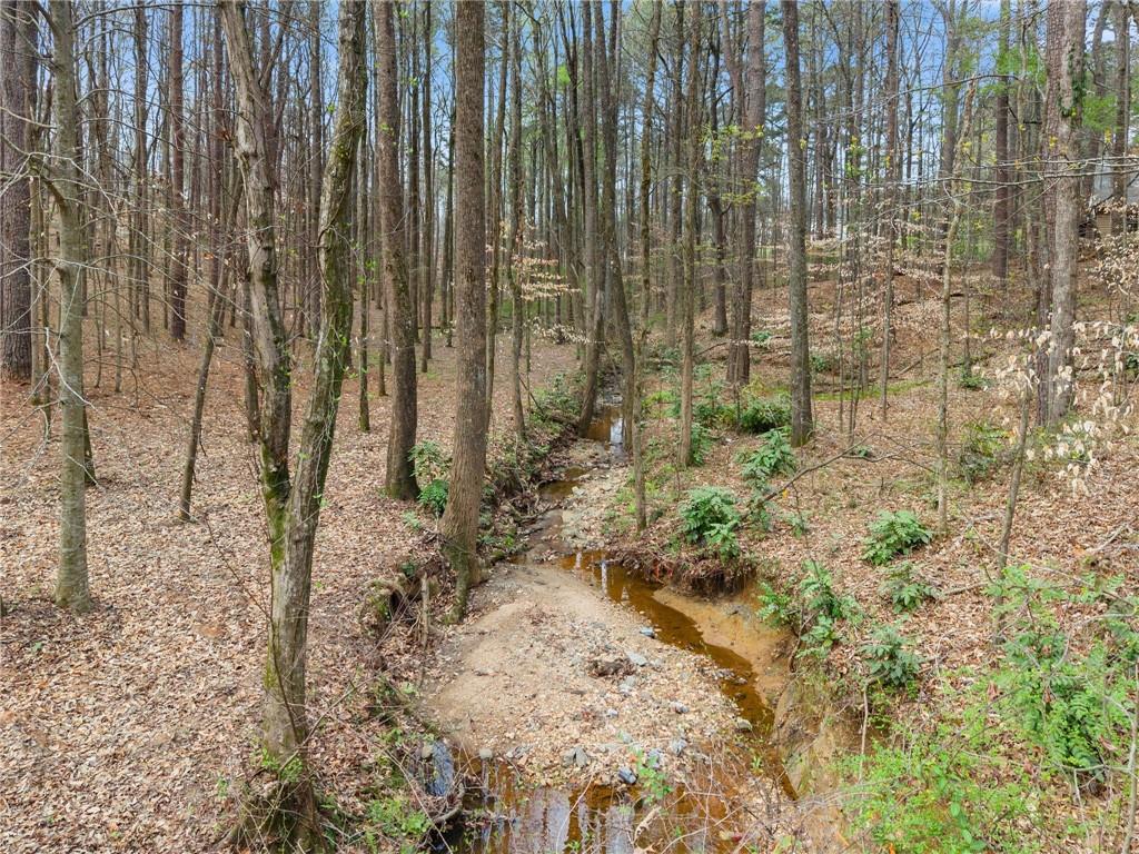 2195 East Maddox Road Buford, GA 30519 - Photo 80 of 100