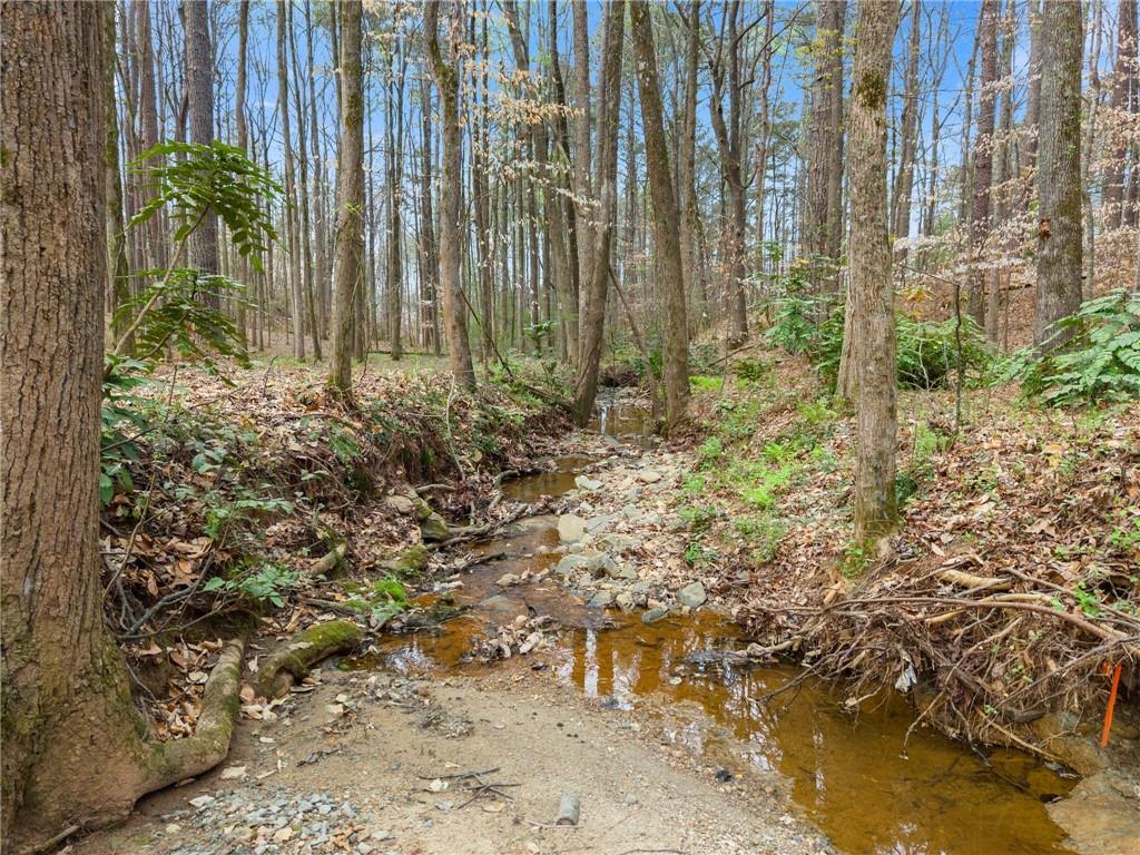 2195 East Maddox Road Buford, GA 30519 - Photo 81 of 100 a view of a yard with plants and large trees
