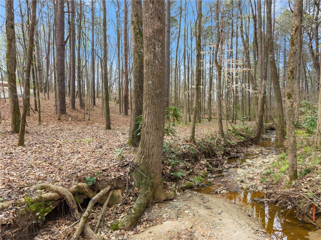 2195 East Maddox Road Buford, GA 30519 - Photo 83 of 100