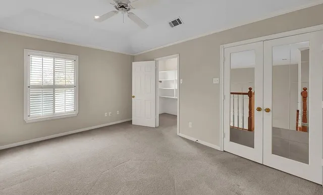 a view of a park with large trees