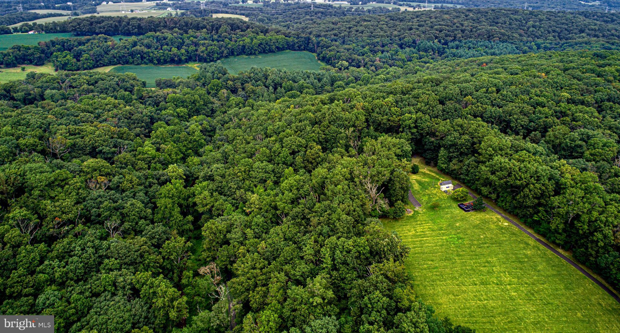 1402 Falling Branch Road Pylesville, MD 21132 - Photo 29 of 38 Gallery Image 29
