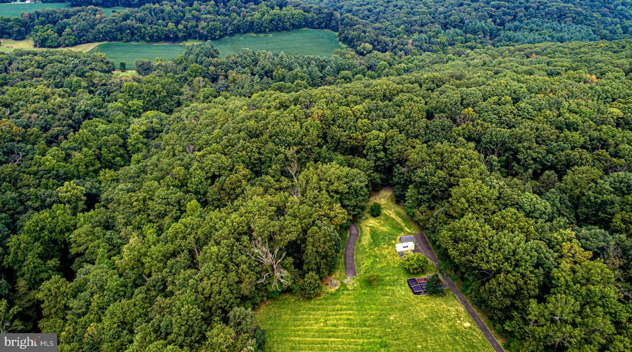 1402 Falling Branch Road Pylesville, MD 21132 - Photo 3 of 38 Gallery Image 3