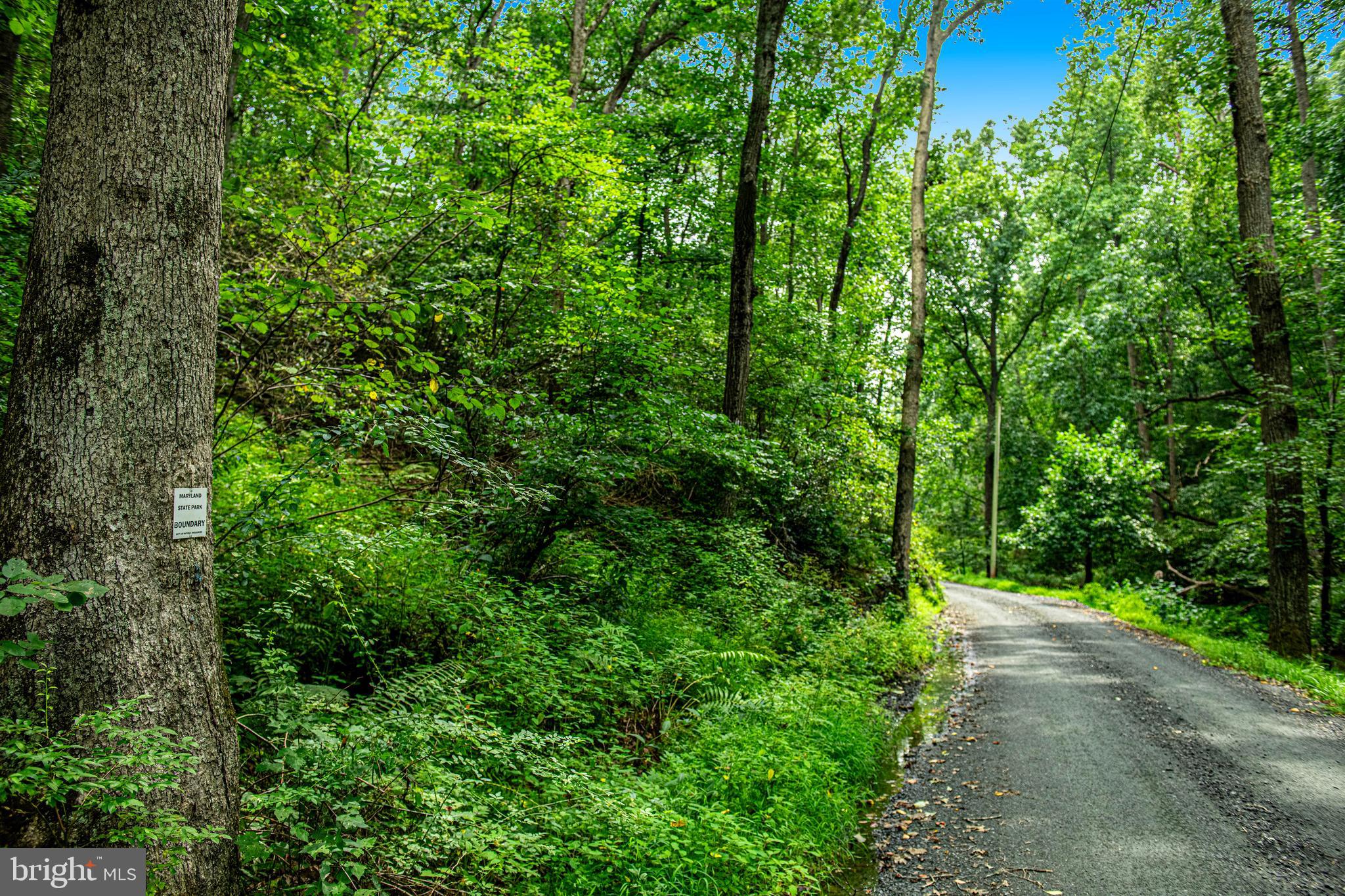 1402 Falling Branch Road Pylesville, MD 21132 - Photo 5 of 38 Gallery Image 5