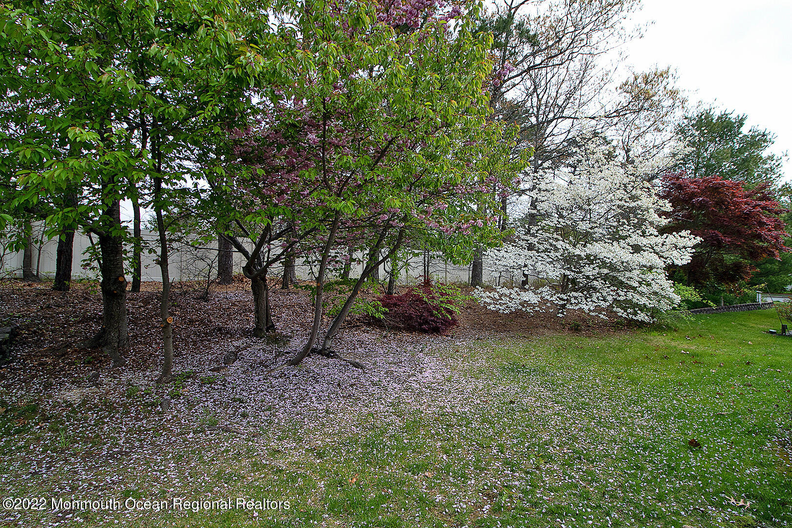 32 Quail Road Barnegat, NJ 08005 - Photo 37 of 37 IMG_0010