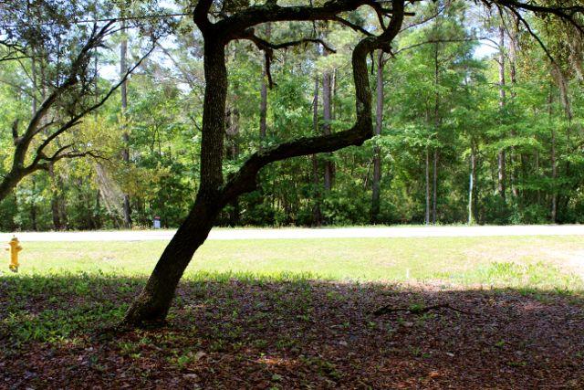 Lot 1 North Bay Grove Road Freeport, FL 32439 - Photo 3 of 7 a view of a yard with an outdoor space
