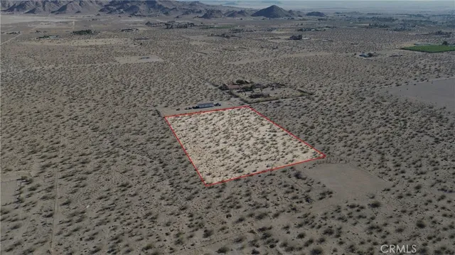 a view of a dry yard