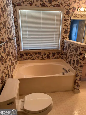 a bathroom with a toilet and a bathtub