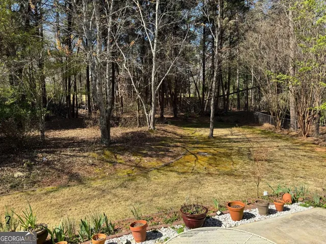 a view of road with large trees