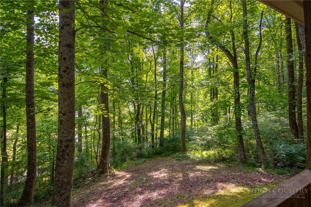 273 Rhymer Branch Road Deep Gap, NC 28618 - Photo 21 of 25