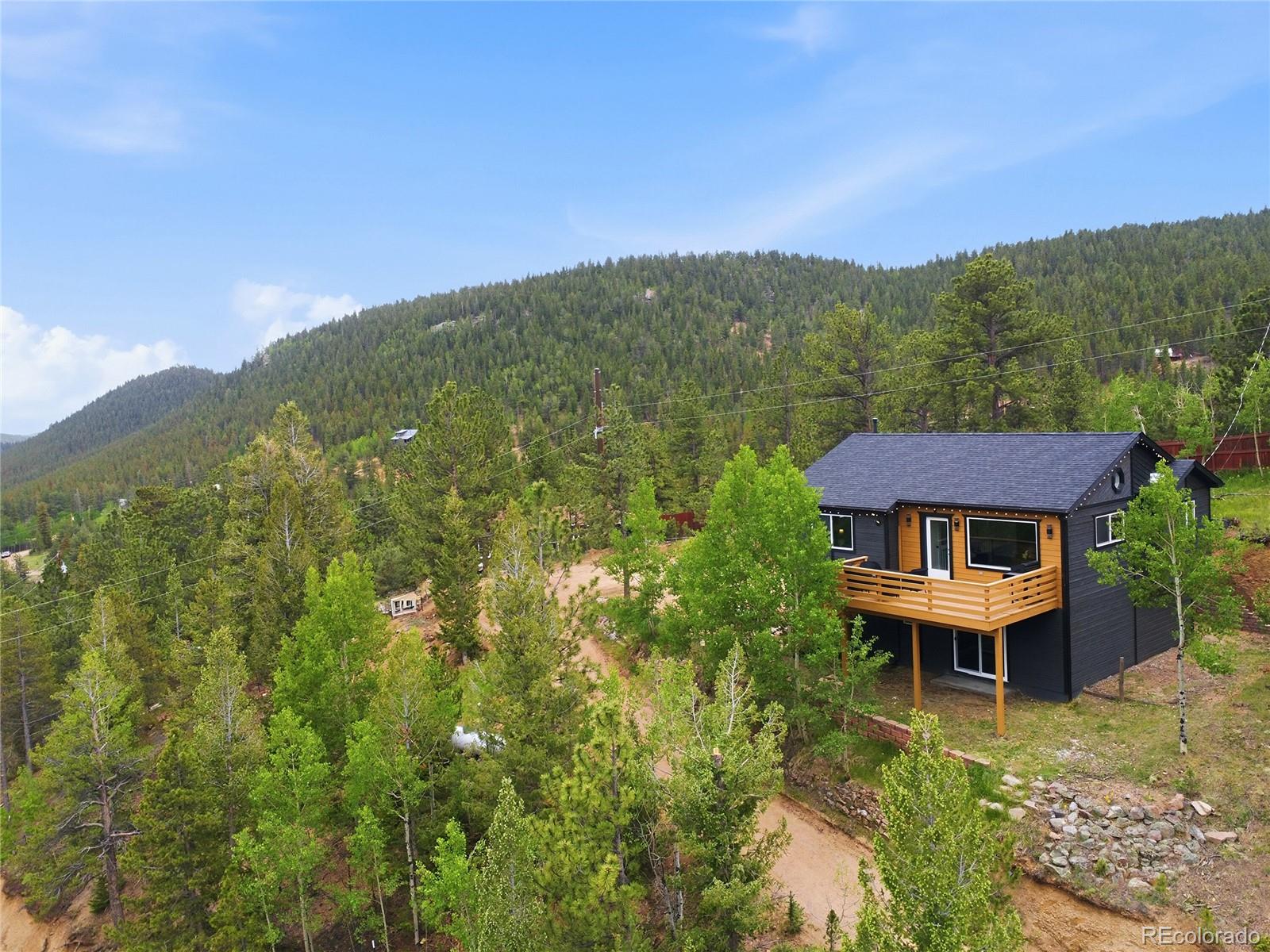 168 Wise Road Bailey, CO 80421 - Photo 2 of 33