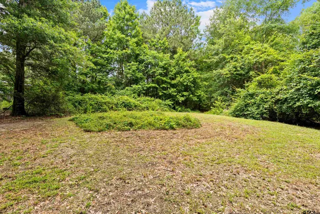 a view of outdoor space and yard