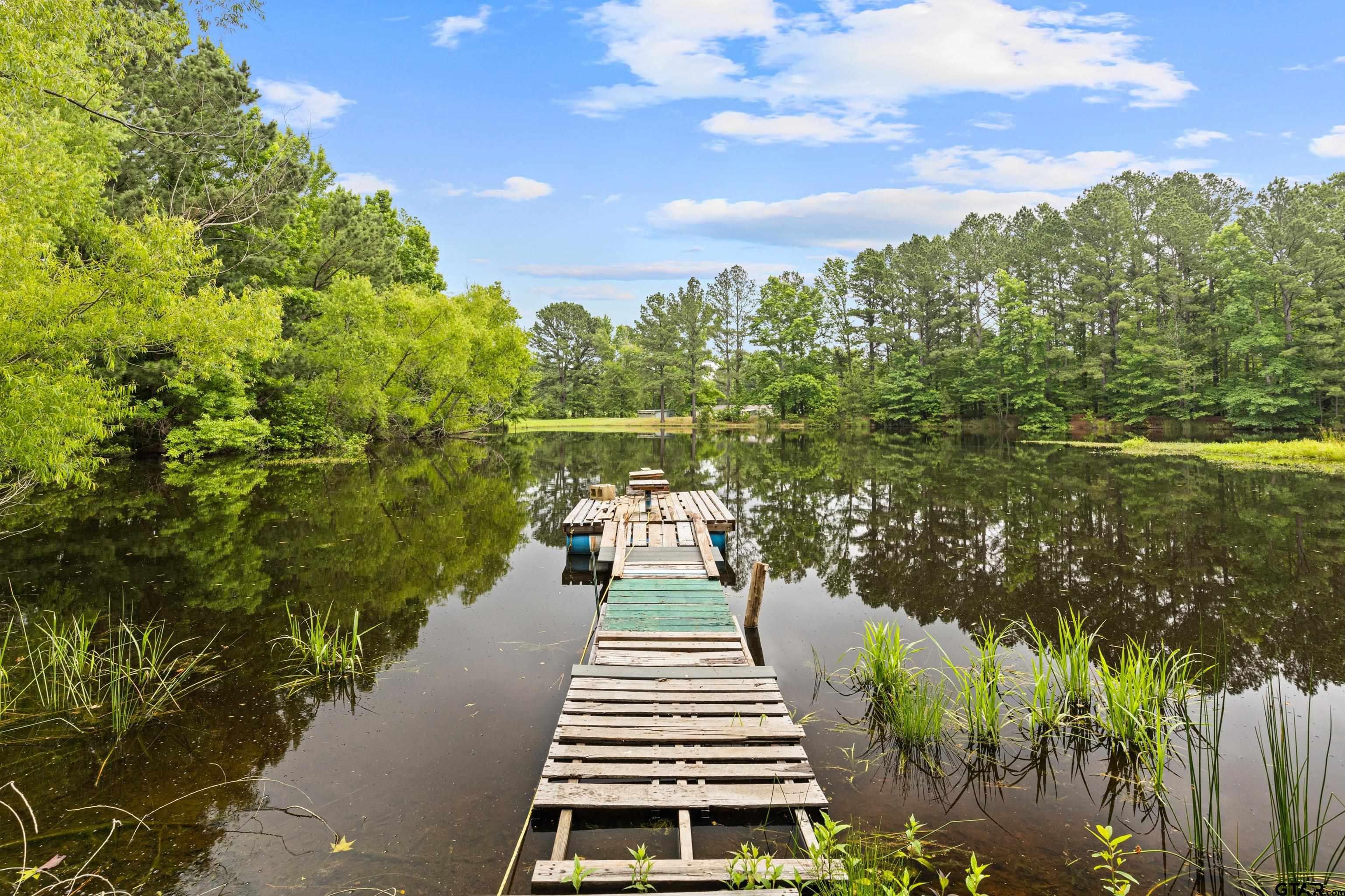 23515 Pinnacle Drive Overton, TX 75684 - Photo 20 of 24