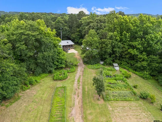 a view of a garden with plants