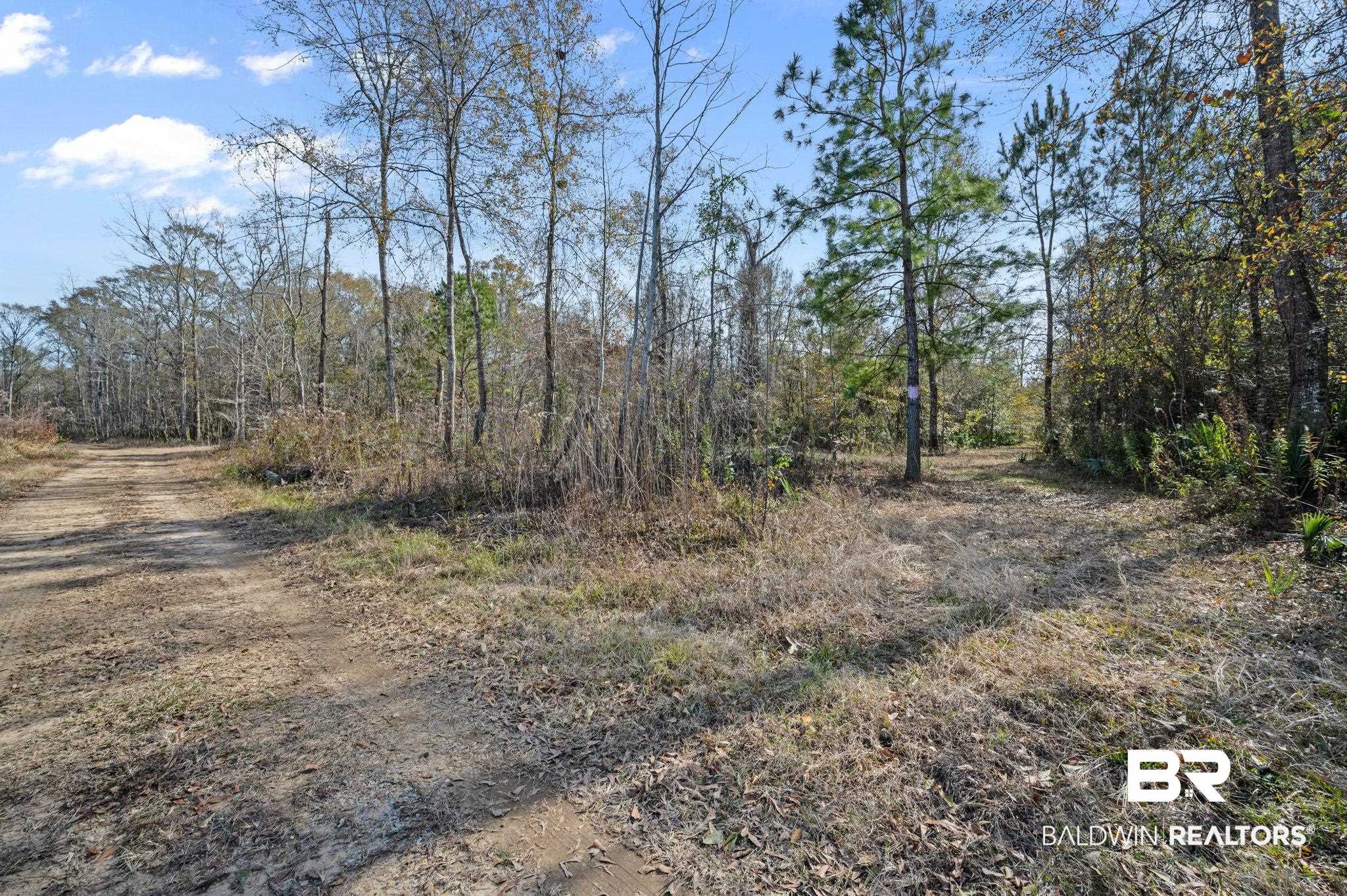 0 Bryant's Lndg Road Stockton, AL 36579 - Photo 6 of 29