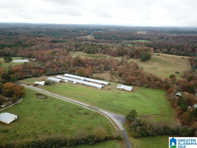 1241 Reneau Road Oneonta, AL 35121 - Photo 4 of 50