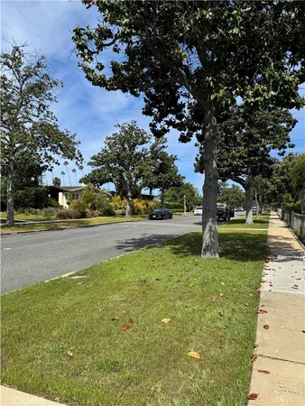 a view of yard with tree