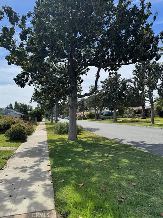 a view of swimming pool with tree s