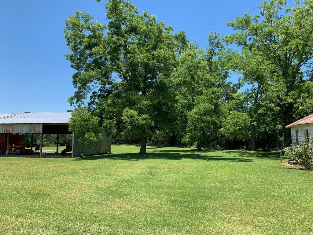 0 South Co Road Ashford, AL 36312 - Photo 11 of 16