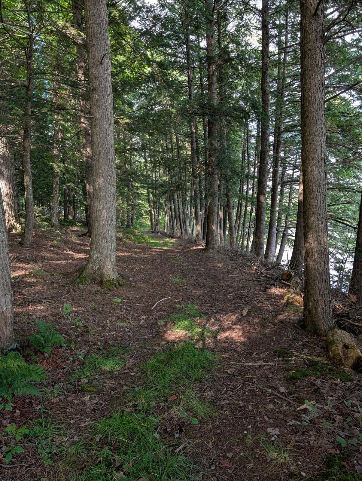 6 Lake Road Wilton, ME 04294 - Photo 44 of 60 Map021Lot006 (3)