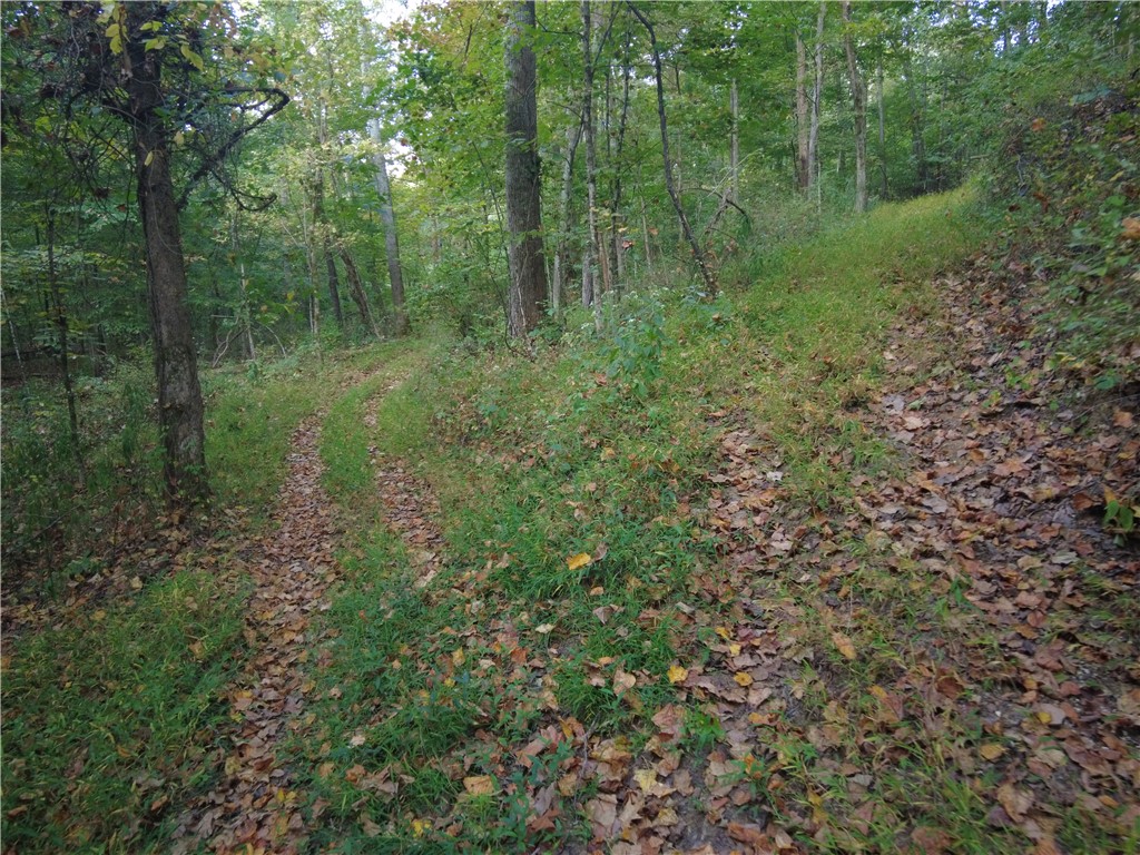 1147 Richey Road Felicity, OH 45120 - Photo 18 of 26 A tranquil path winds through a lush, verdant woodland, inviting serene exploration.