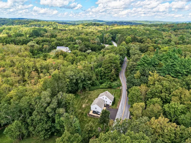 a view of a garden with an outdoor space