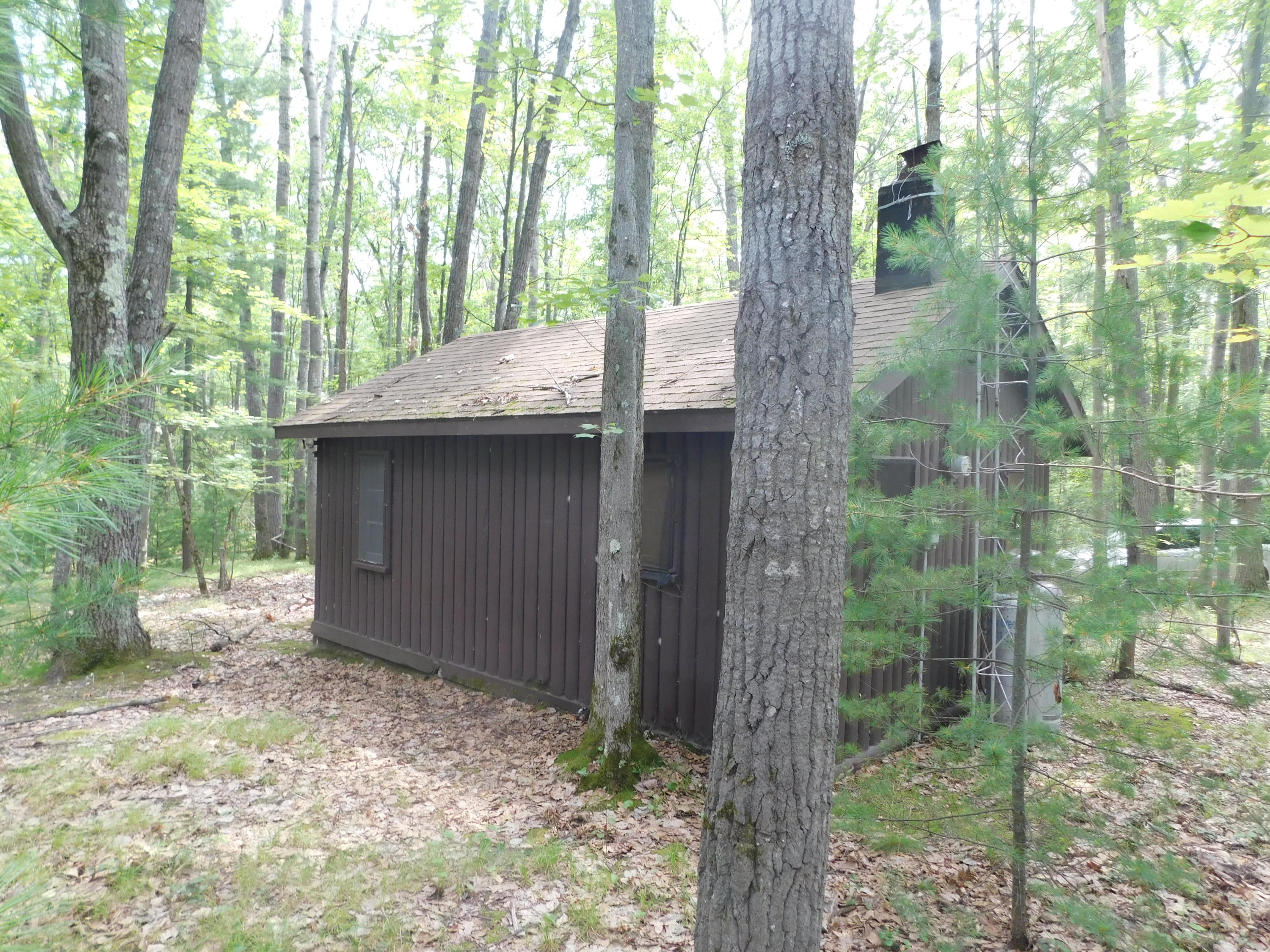 286 Loon Lake Loop Road Rose City, MI 48654 - Photo 2 of 13 Gallery Image 2