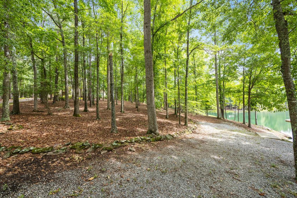 11045 Warm Springs Road Midland, GA 31820 - Photo 7 of 46