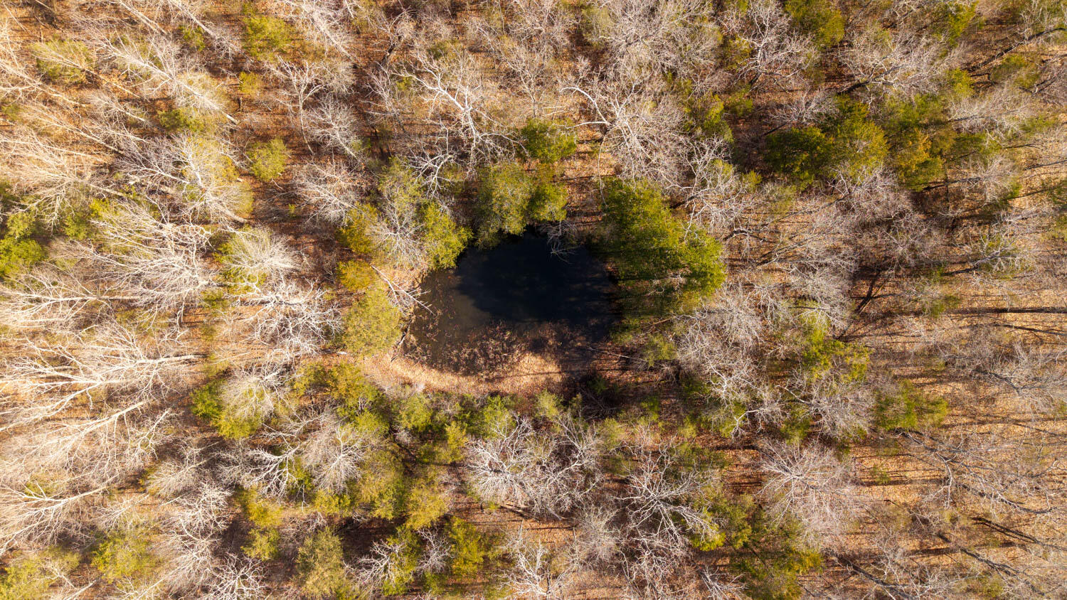 0 Rimstone Lane Gainesville, MO 65655 - Photo 8 of 17 23 acres006