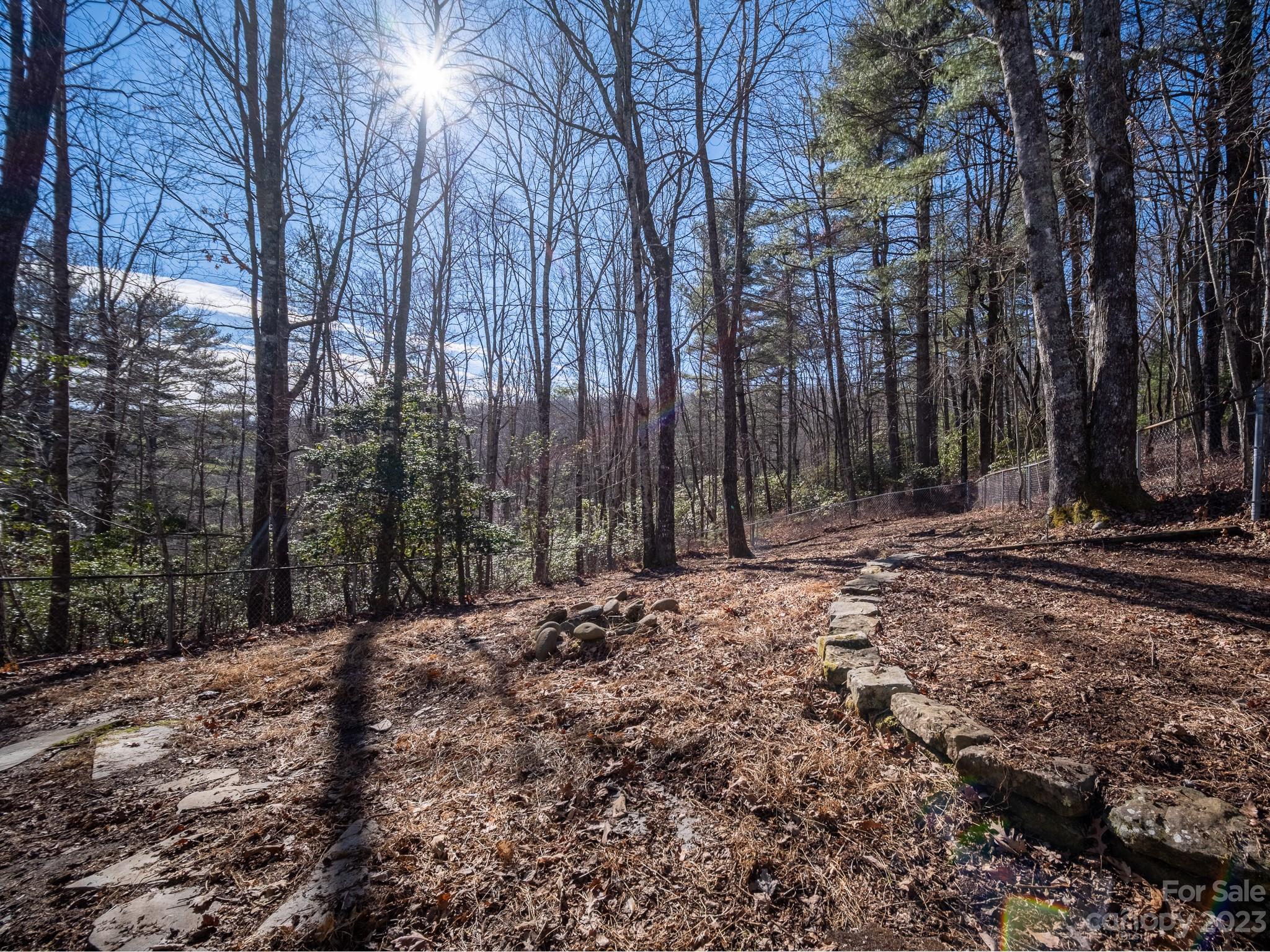 430 Jeep Road Brevard, NC 28712 - Photo 11 of 45 a view of a yard with trees