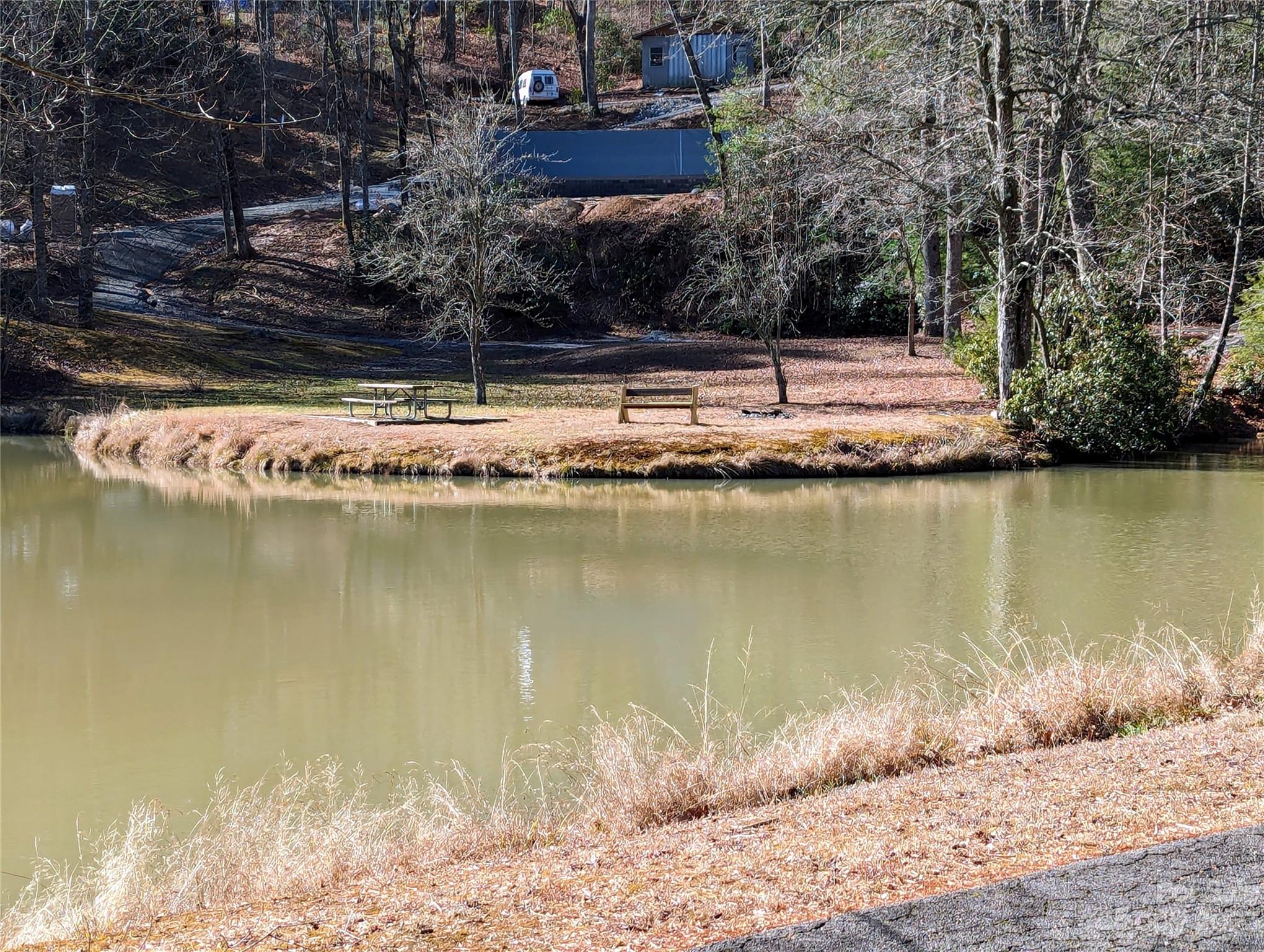 430 Jeep Road Brevard, NC 28712 - Photo 41 of 45 a view of lake view