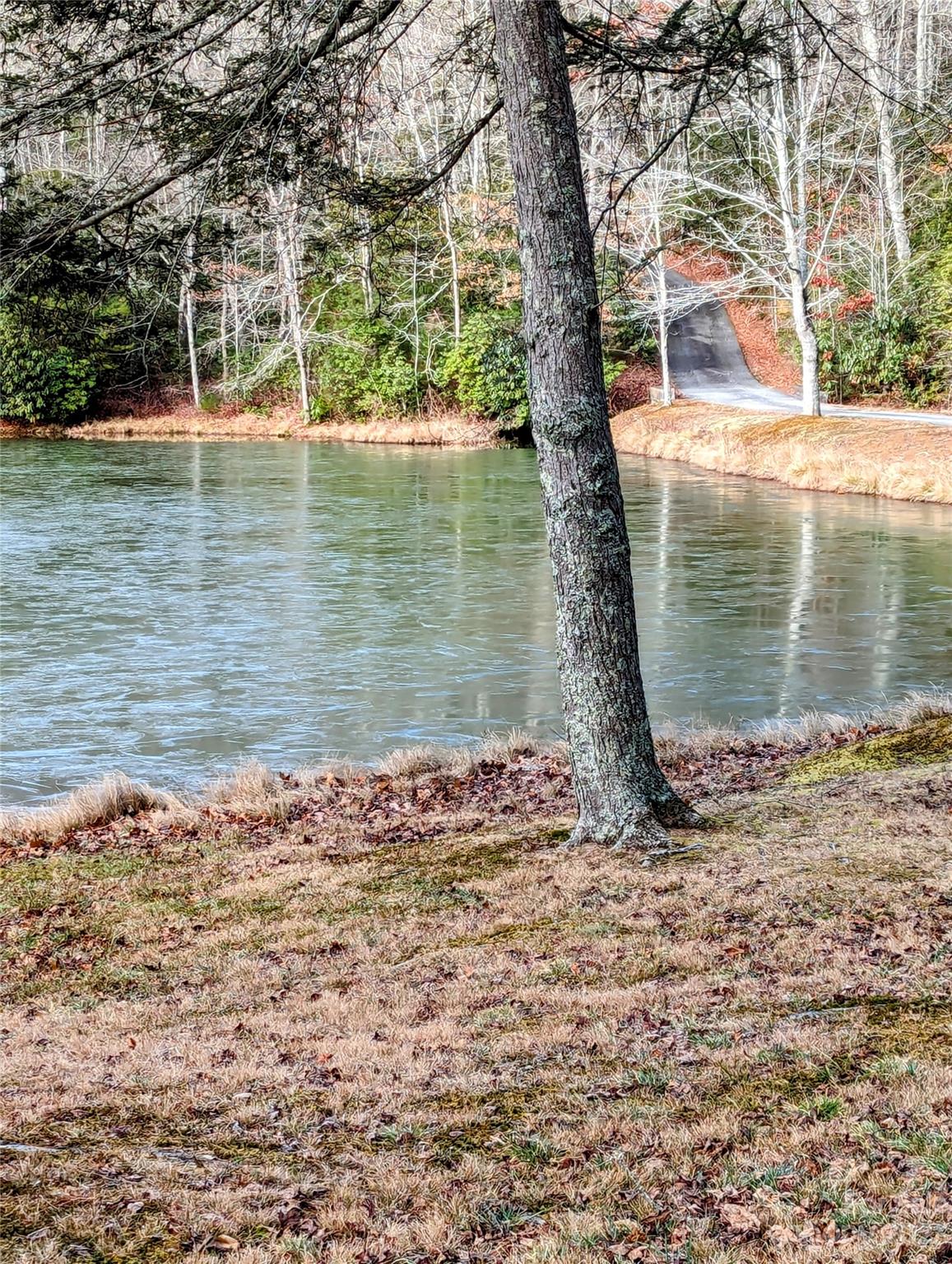430 Jeep Road Brevard, NC 28712 - Photo 43 of 45 a view of a lake view