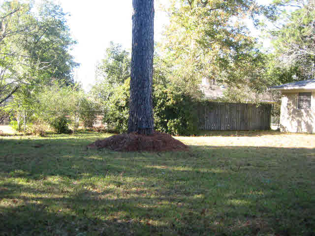 456 Jan Drive Fairhope, AL 36532 - Photo 12 of 15 Additional View