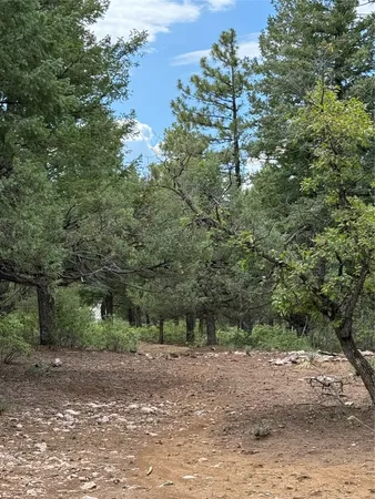 $85,000 | 4 Lakeview, Chama, NM 87520