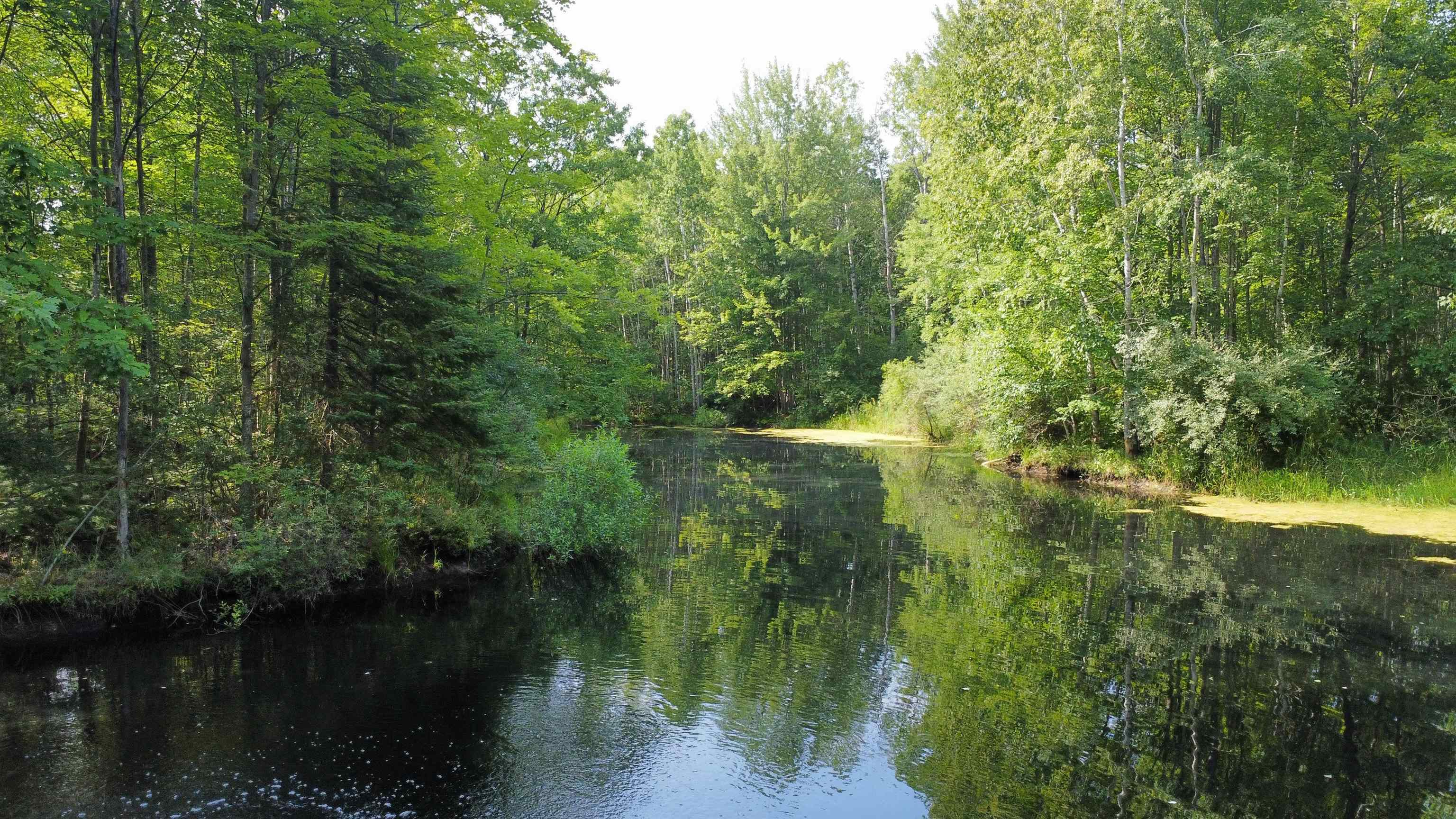 11167 Arnold Lake Road Gladwin, MI 48624 - Photo 16 of 59 Gallery Image 16