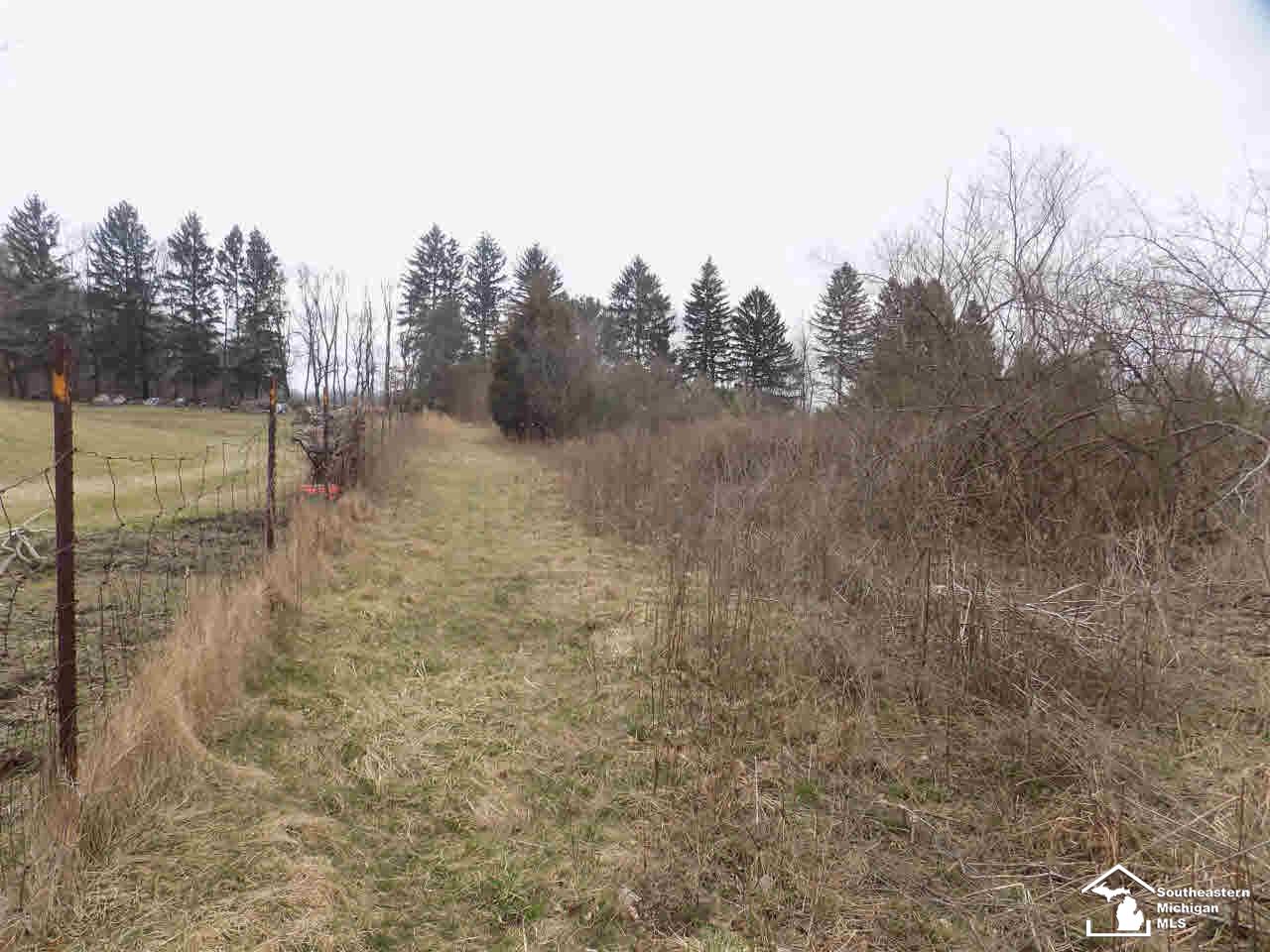 5477 West Rauch Petersburg, MI 49270 - Photo 17 of 21 East Trails